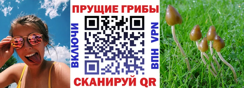 Псилоцибиновые грибы ЛСД Жирновск